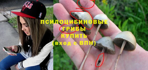 мдпв Верхнеуральск