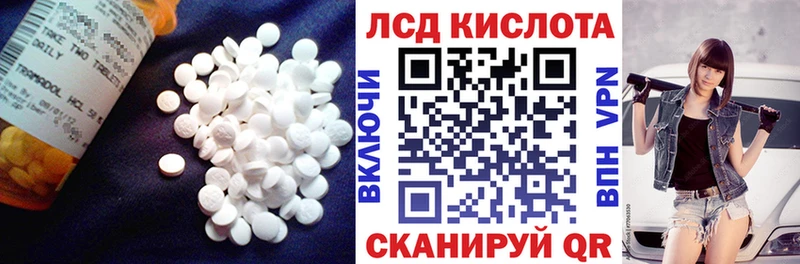 где найти наркотики  Владимир  Лсд 25 экстази ecstasy 